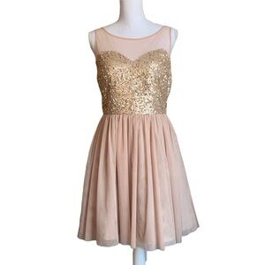 Francesca’s Jun & Ivy Sleeveless Sequins Mini Dress Size Medium